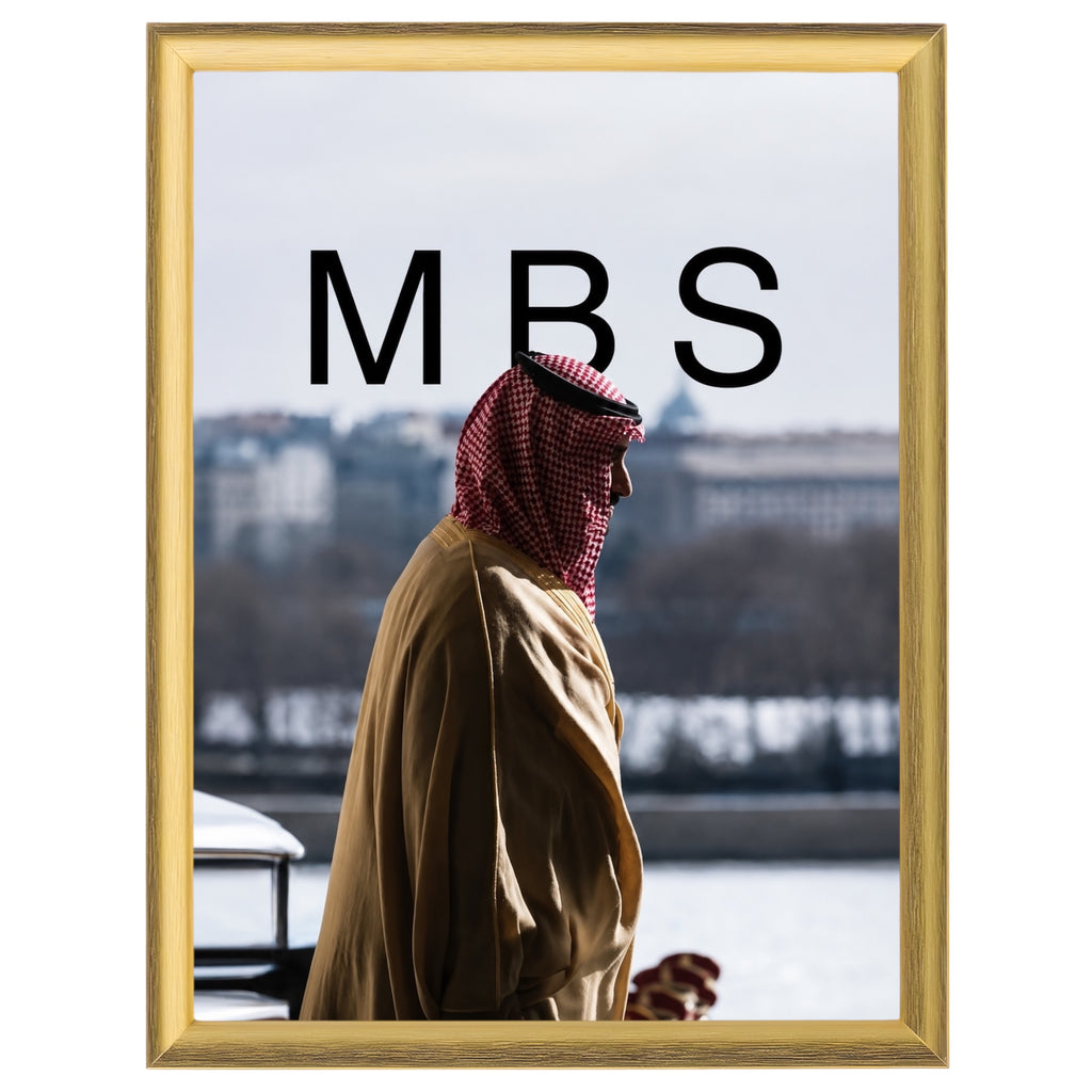 الامير محمد بن سلمان ال سعود -2