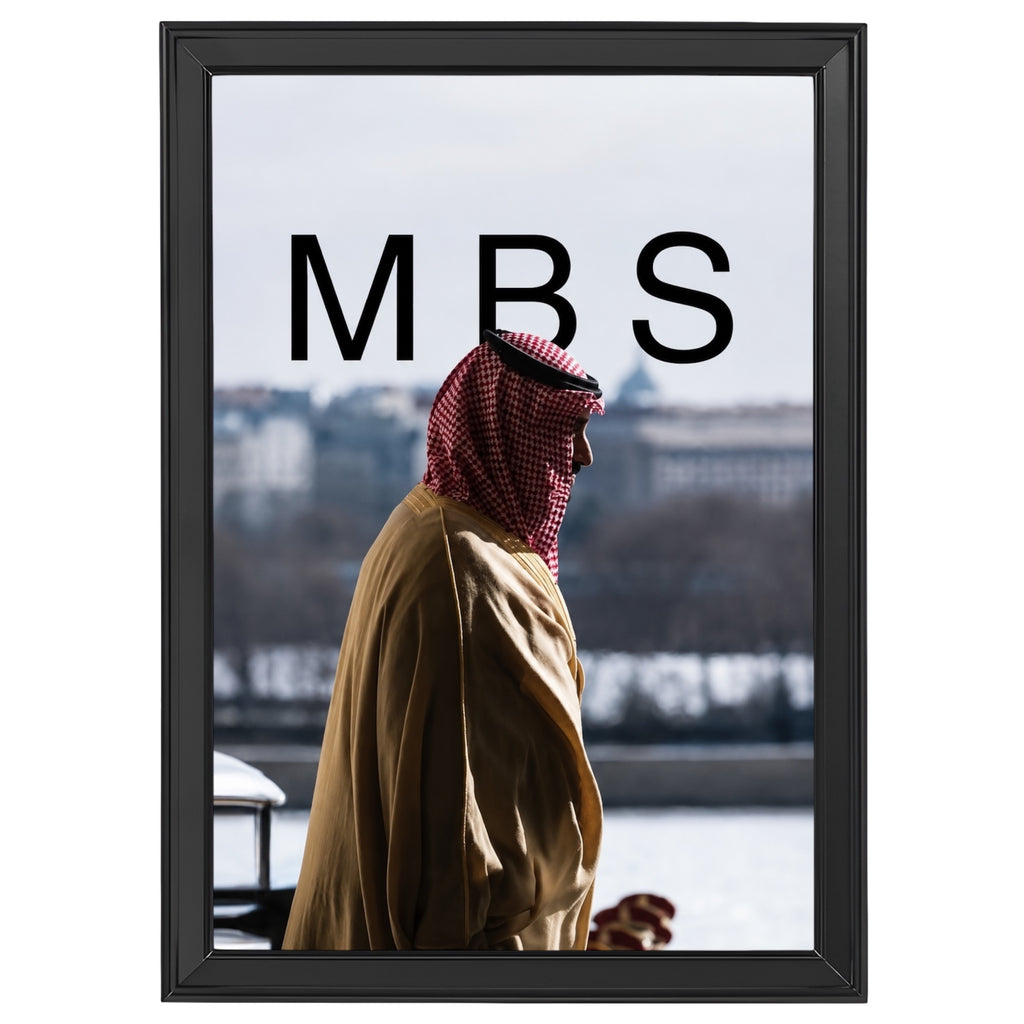 الامير محمد بن سلمان ال سعود -2