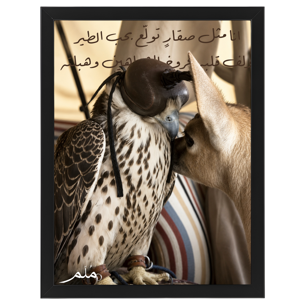 طير -1