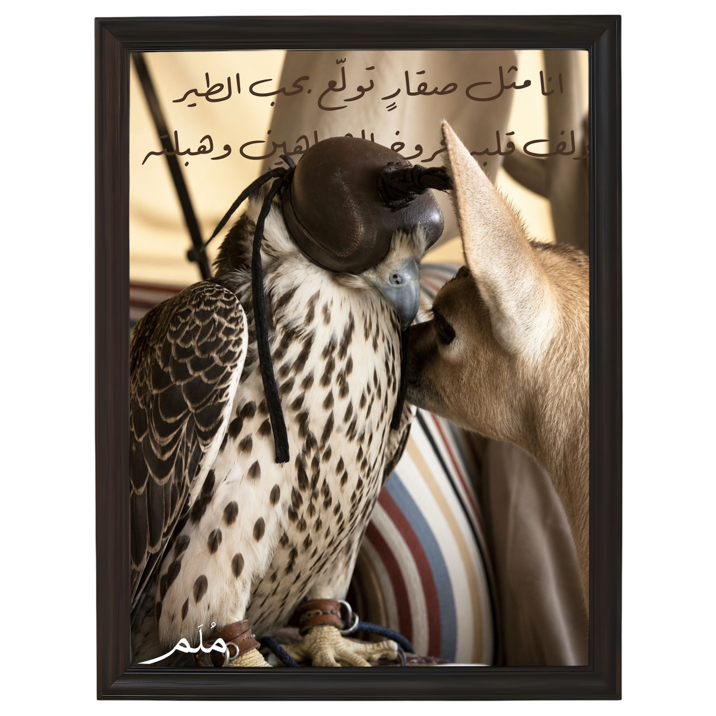 طير -1