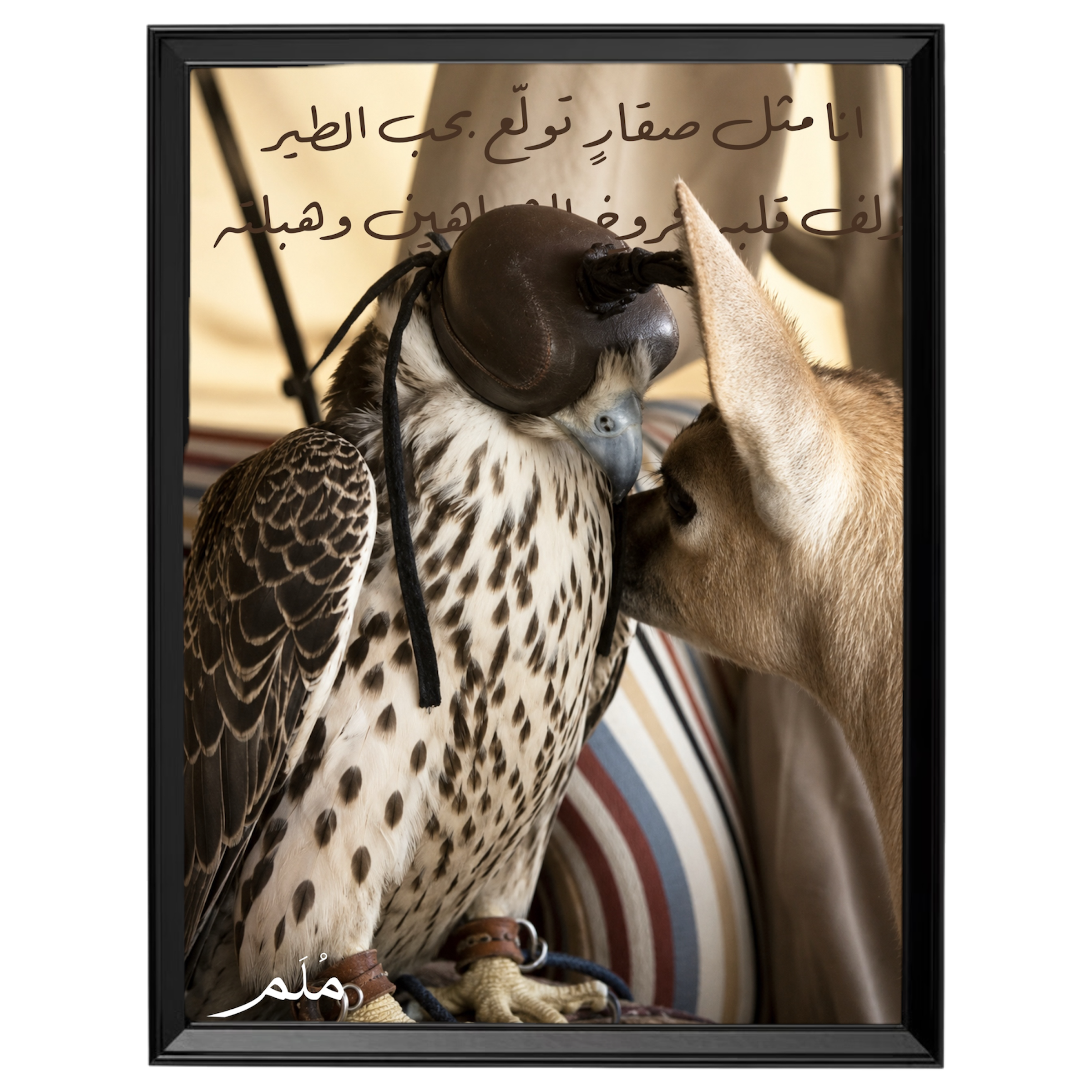 طير -1